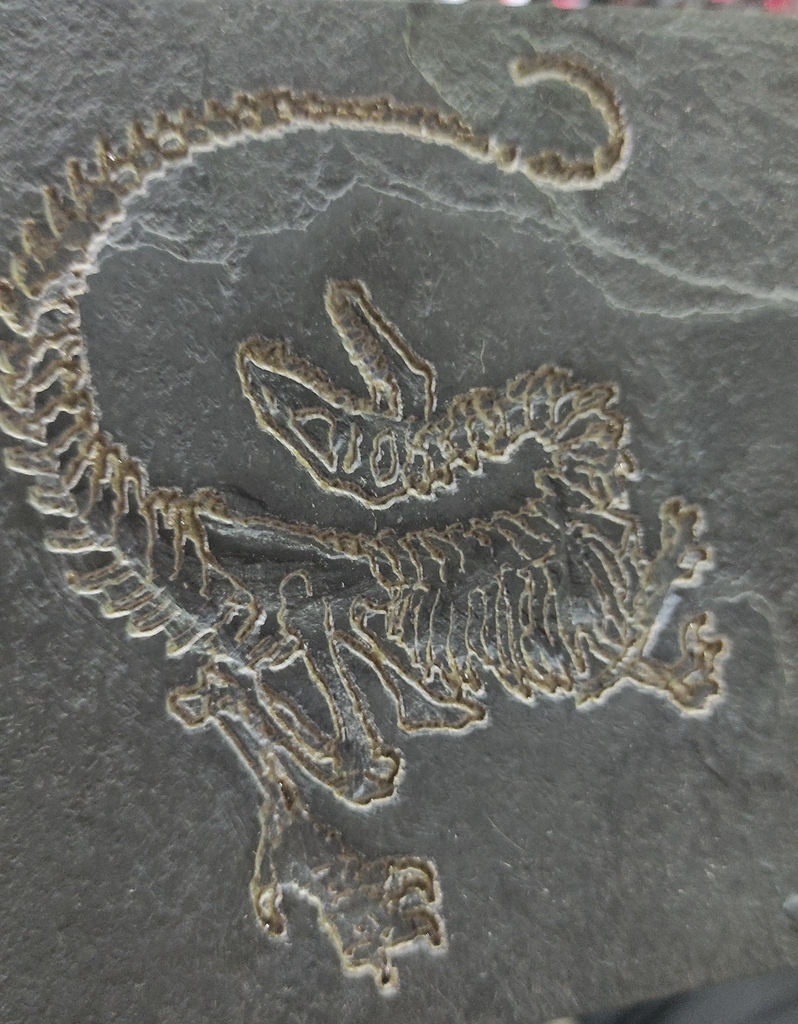 Placa Paleontológica